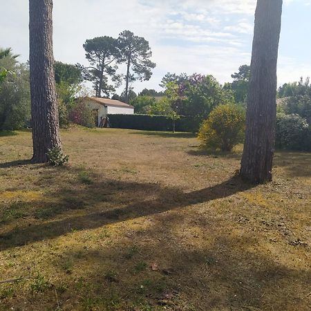 Petite Maison A Biscarrosse - Plage Eksteriør billede