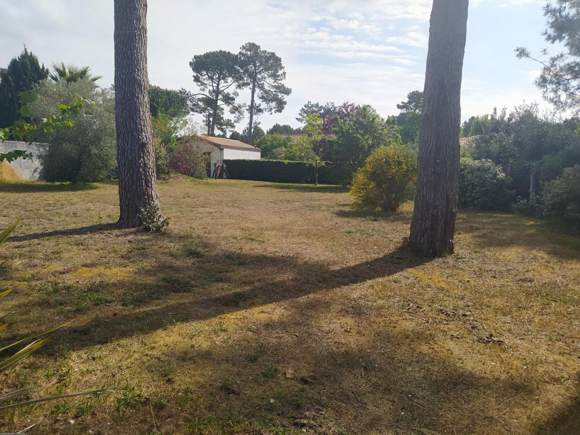 Petite Maison A Biscarrosse - Plage Eksteriør billede